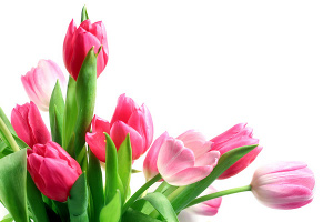 С праздником 8 марта!